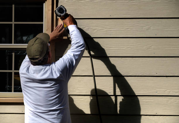 Best Custom Trim and Detailing for Siding  in Storm Lake, IA