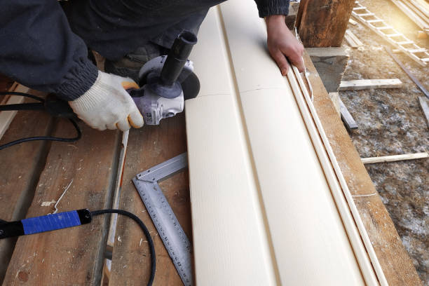 Best Vinyl Siding Installation  in Storm Lake, IA