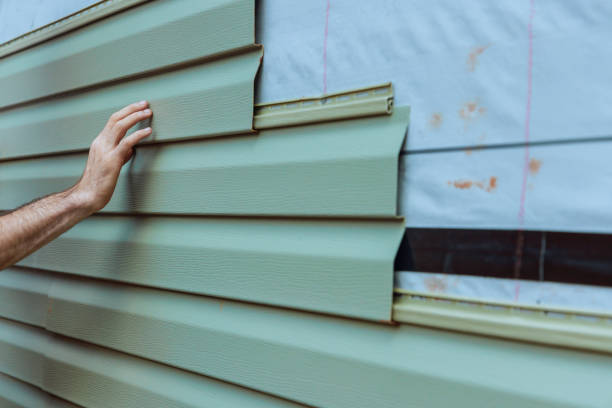 Best Steel Siding Installation  in Storm Lake, IA
